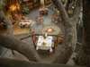 Susuwe Island Lodge - campfire + outdoor dining
